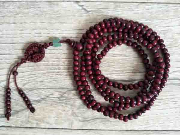 好姐妹，你出家真是今生注定的吗？