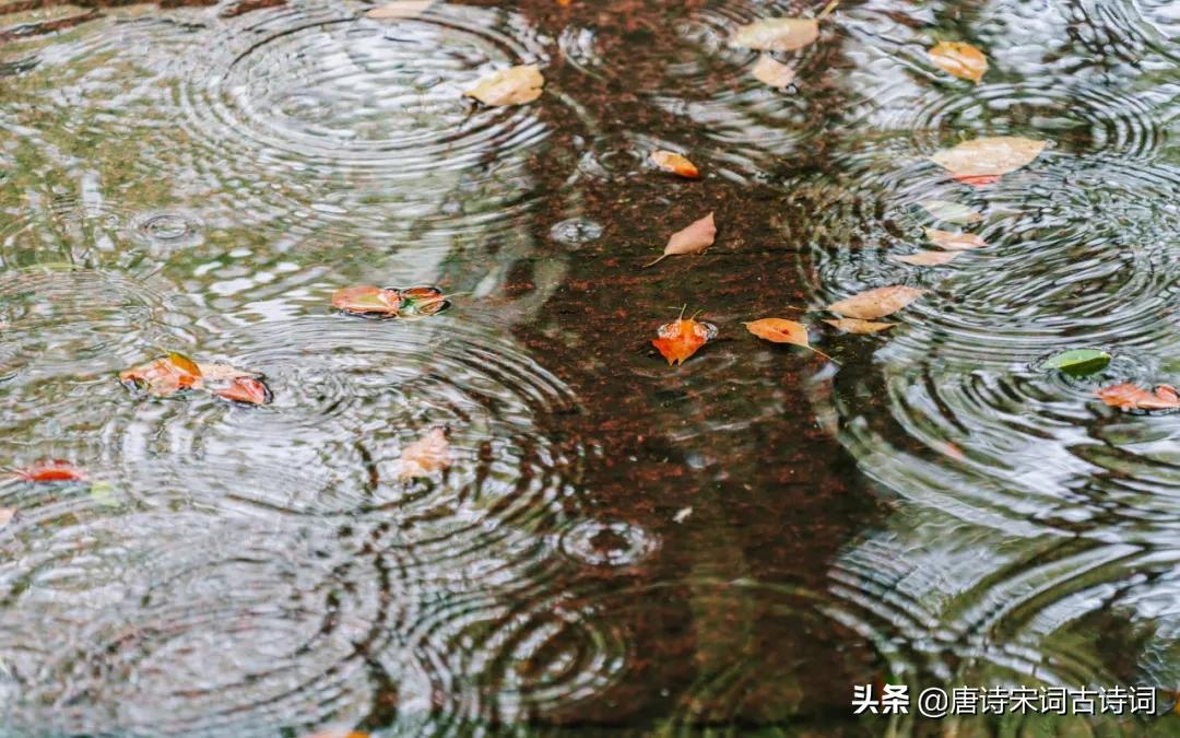 古诗词里的秋雨