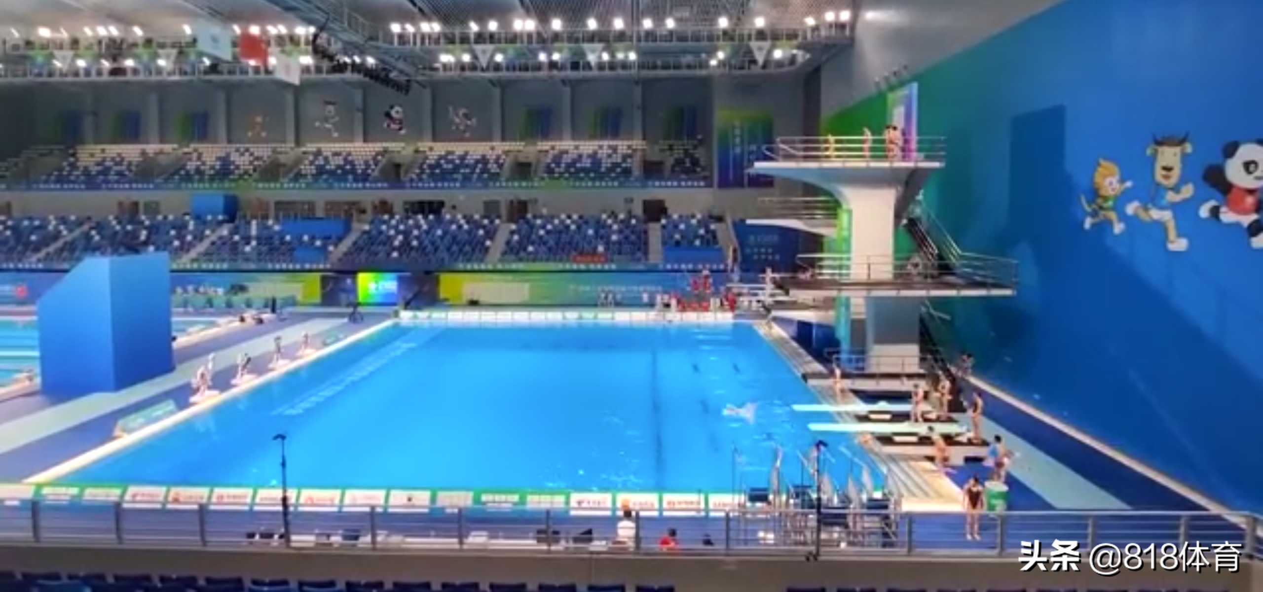排面!全红婵全运会训练引20人10米台围观,伸脖子往下看水花消失术