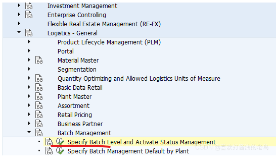 SAP MM 工厂级别的批次管理？