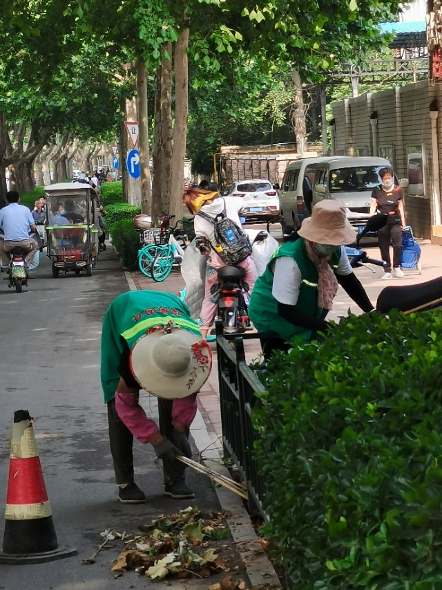 如何用园林栽培技术防治园林植物病虫害