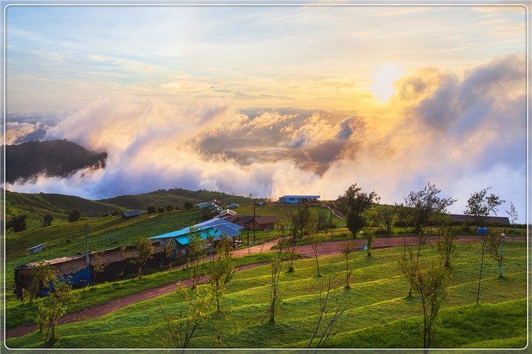 一个54岁创业失败者回农村，能做哪些有前景的创业项目？