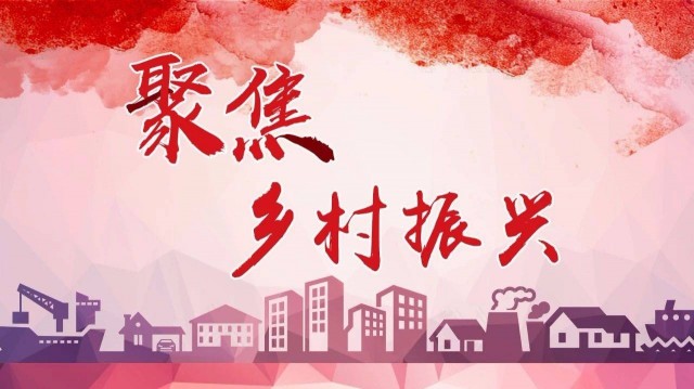 民建安徽省委：聚焦“第六产业”   赋能乡村振兴