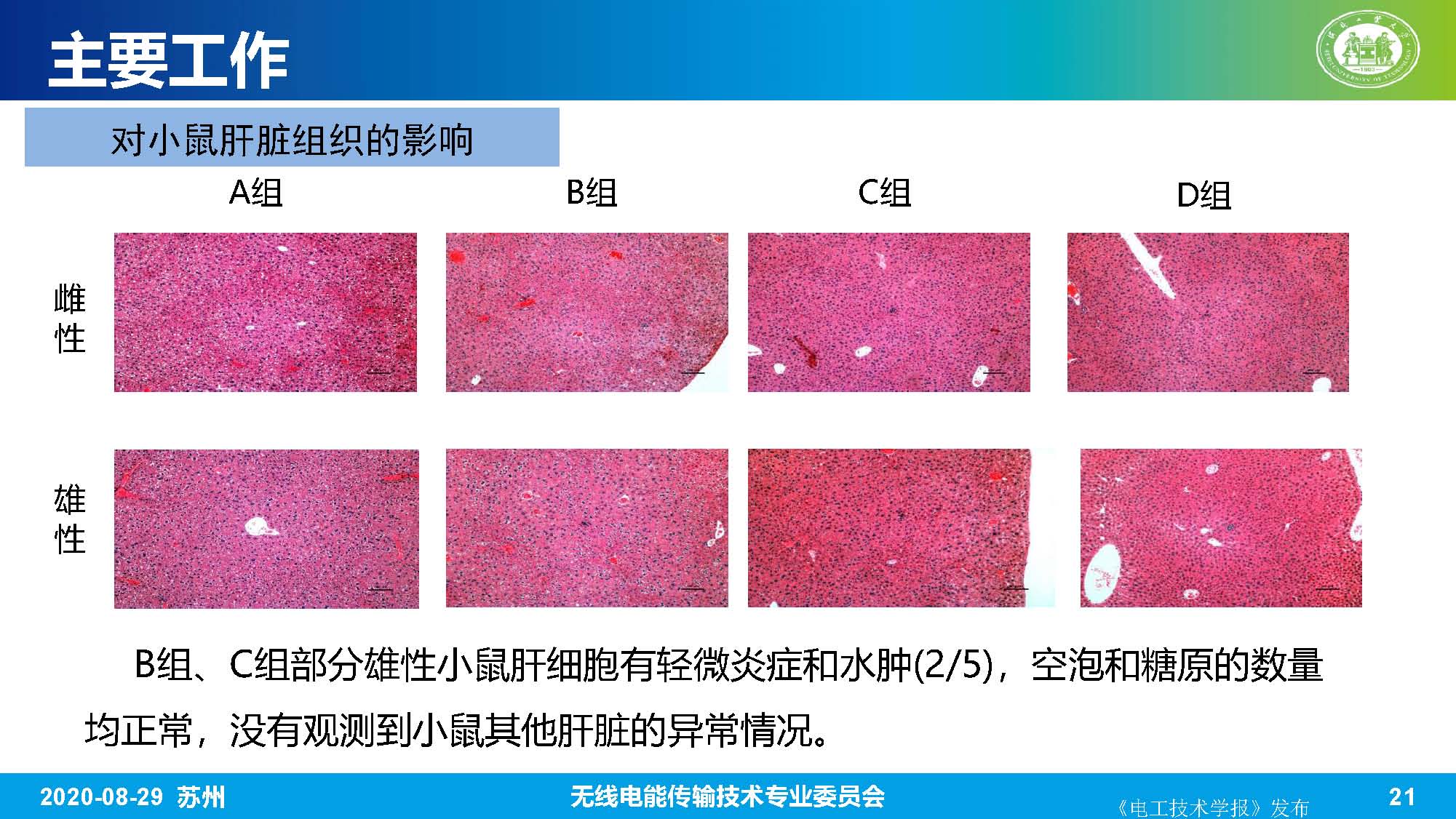 河北工业大学赵军博士：无线电能传输系统的生物电磁综合效应研究