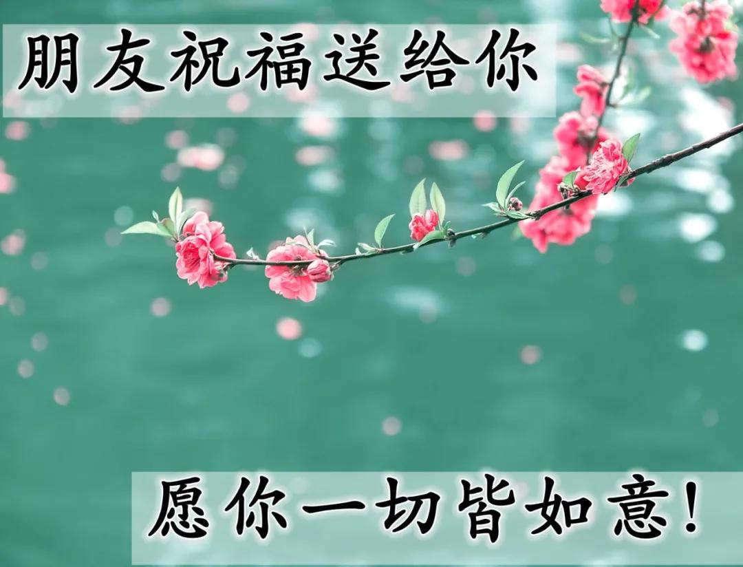 创意唯美早安图片带祝福语 亲人朋友圈早上好图片图片