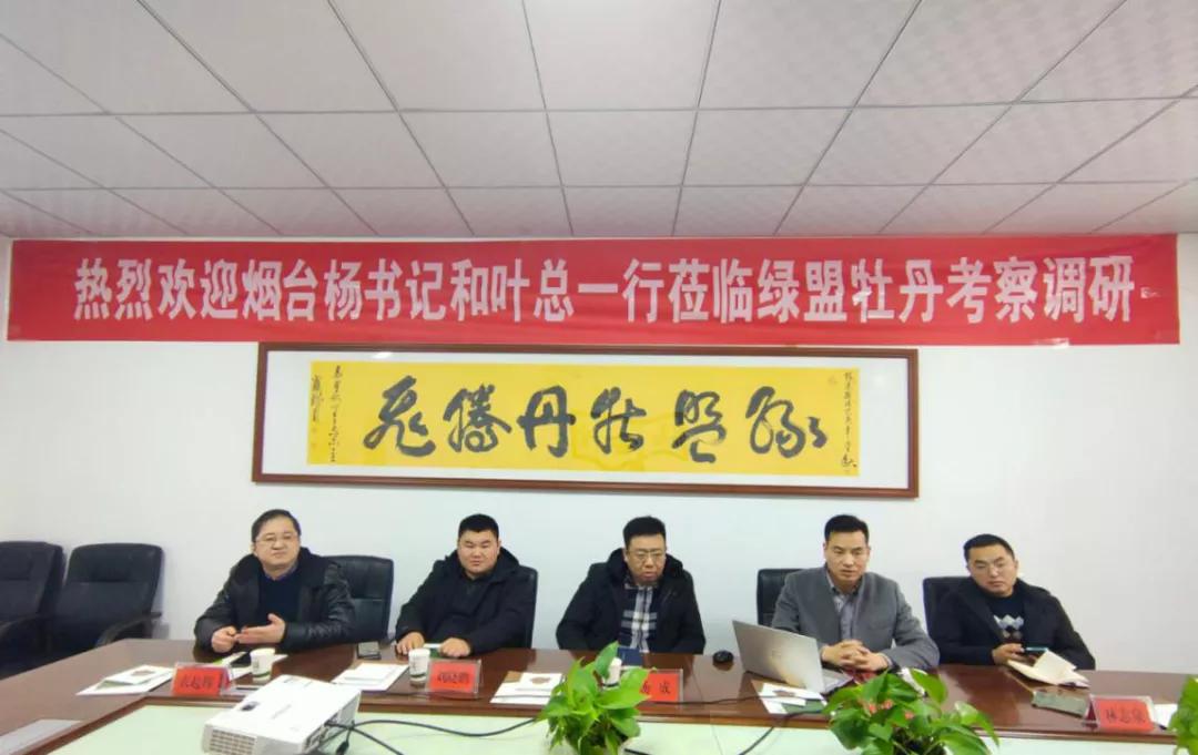鼠姑网｜烟台自贸区副书记杨城一行莅临绿盟牡丹考察调研