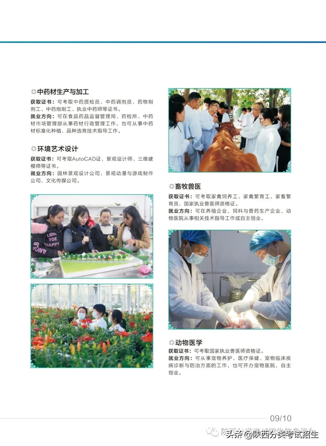 汉中职业技术学院2021年单独考试招生报考指南