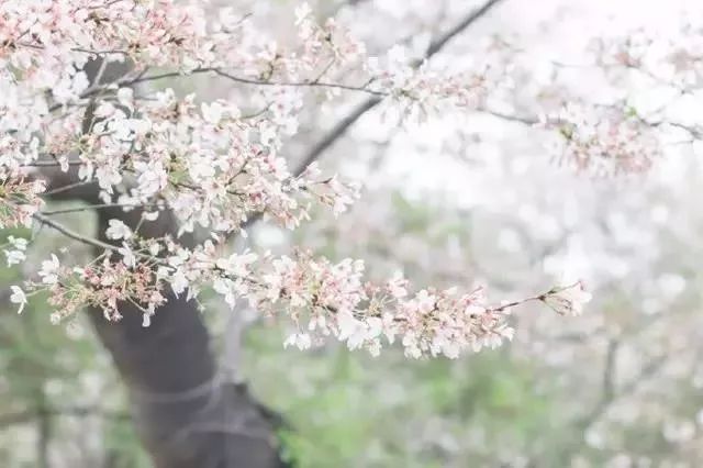 五千年来水平最高的20首诗词，值得一读再读-第16张图片-非凡网