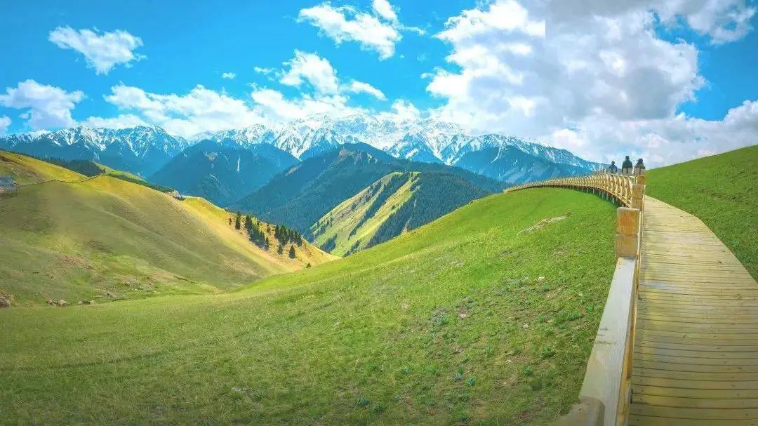 美過北歐！比法國浪漫！800公里風景長廊，即將迎來黃金顏值期