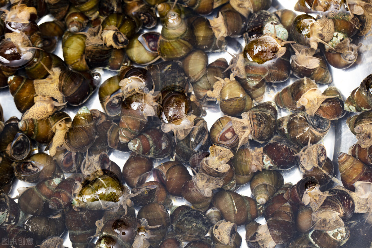 �����ݣ���Ҫ��ǰ��ˮ�𣿴������һ�У�������������û��ζ