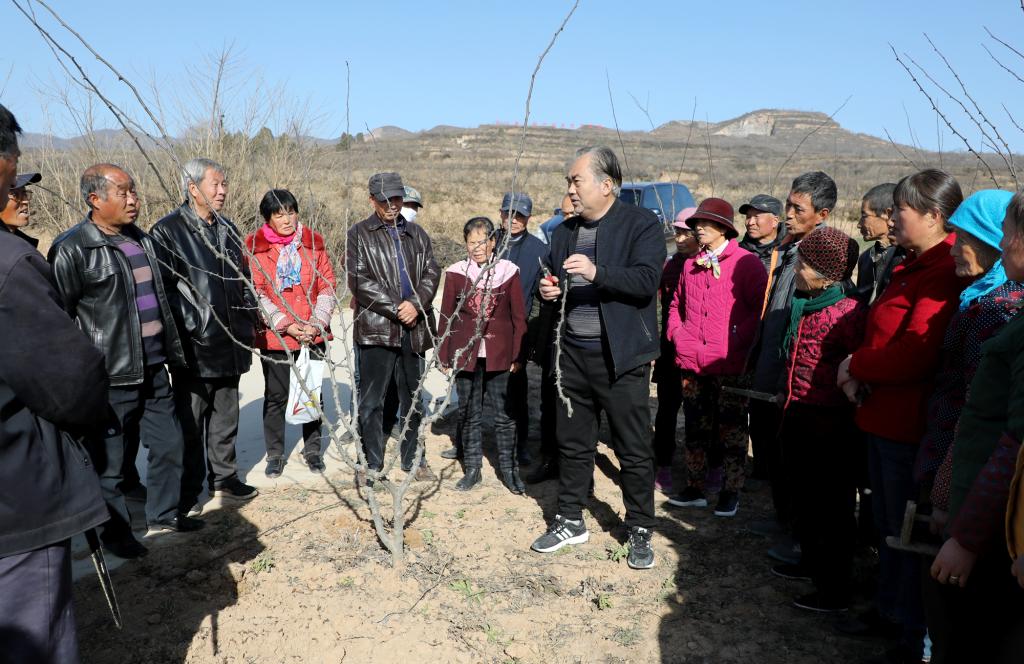 咸阳职院荣获宝鸡市2020年度社会扶贫先进集体称号