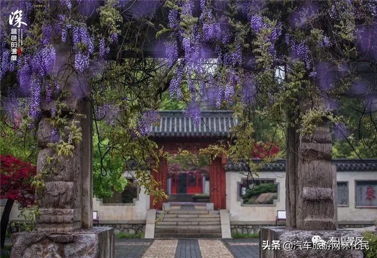 「泰安」中华泰山（含上乘观光车）一日游