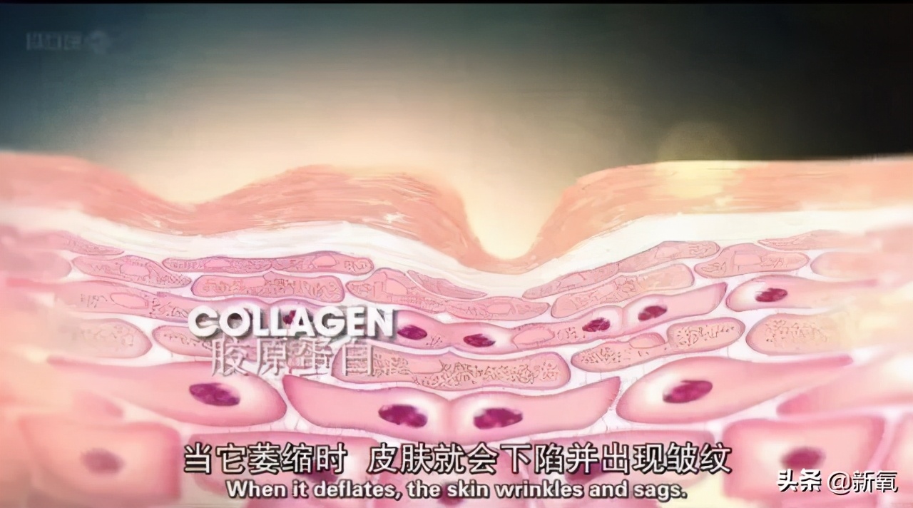 女明星们的好皮肤，当真是得益于戒糖吗？