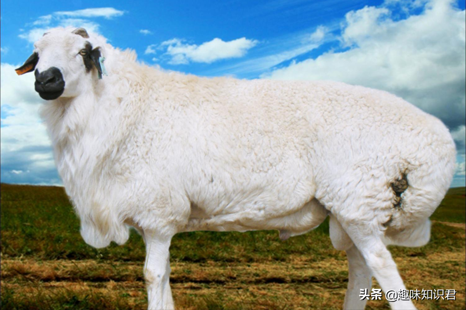 盤點那些有趣的冷星空体育官网入口网站