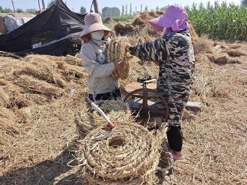 稻草|摄影师用镜头记录稻草帘、草绳制作全过程