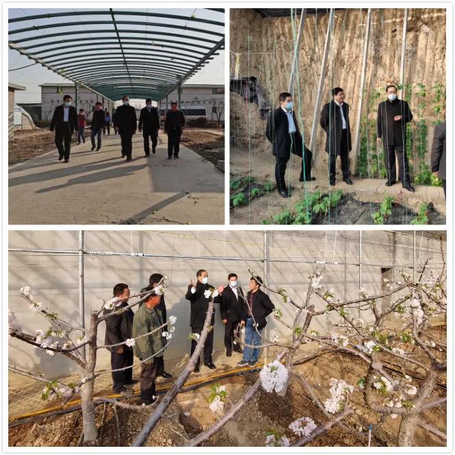 李登全到兰山区督导农业安全生产工作