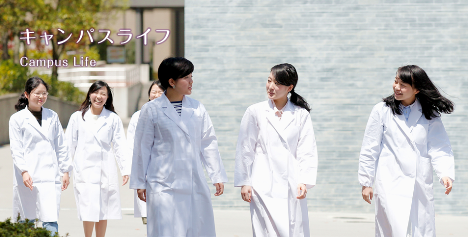 2021年同志社大学出愿早知道
