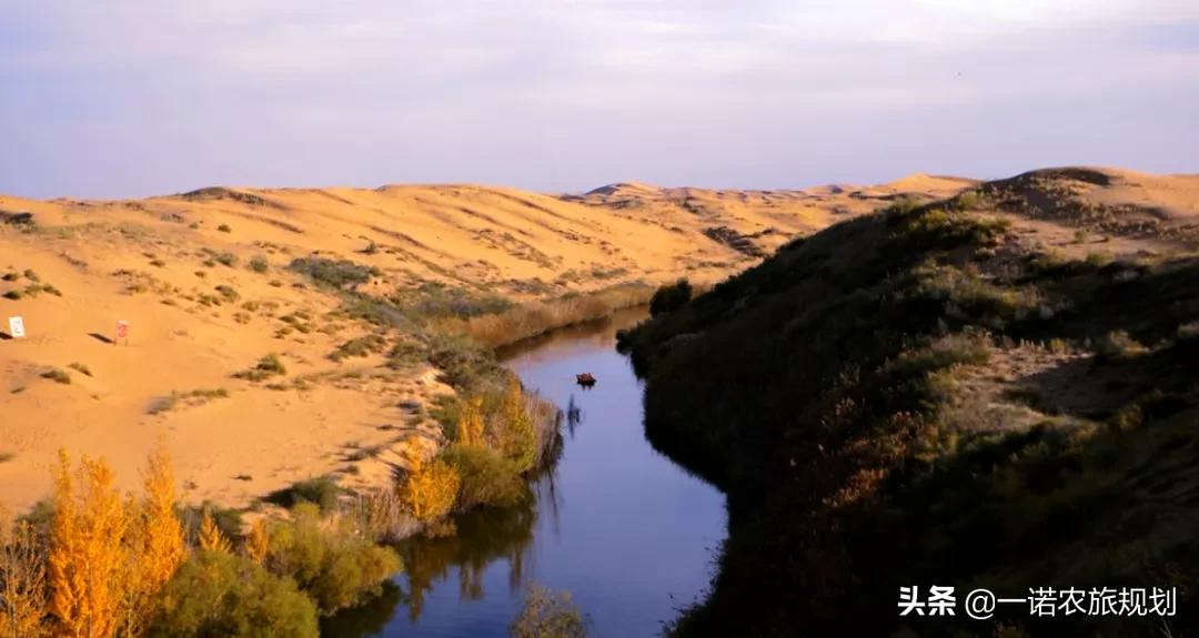 乡村产业，可申报的14项国家项目补贴
