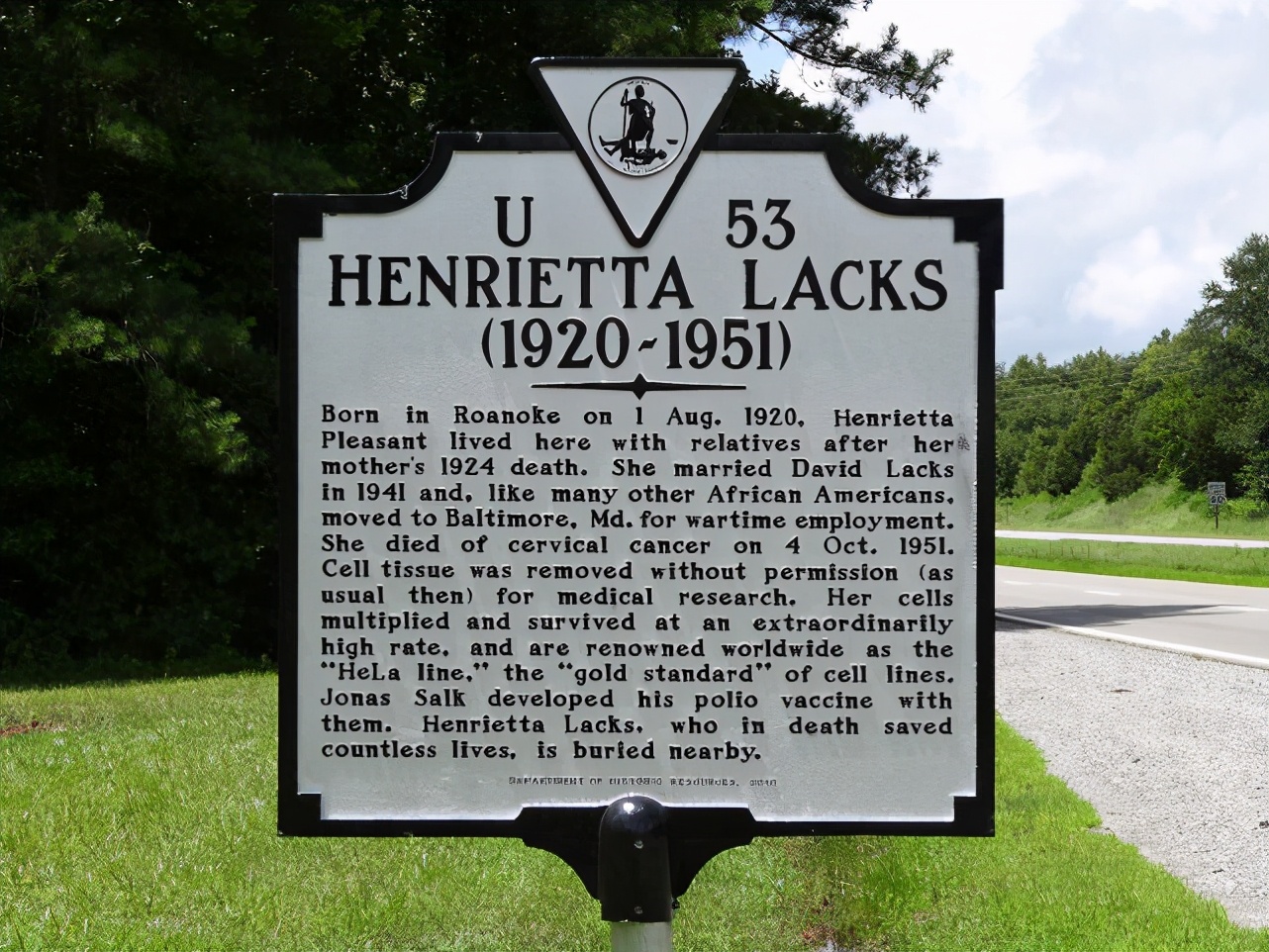 已故黑人妇女的癌细胞，已分裂达5000万吨，分布