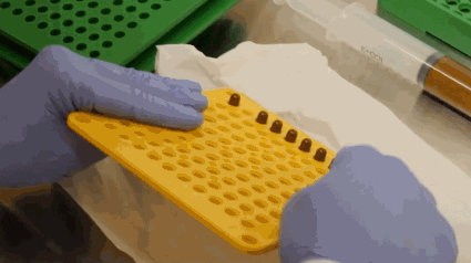 如果拉屎能赚钱，如何拉成亿万富翁？