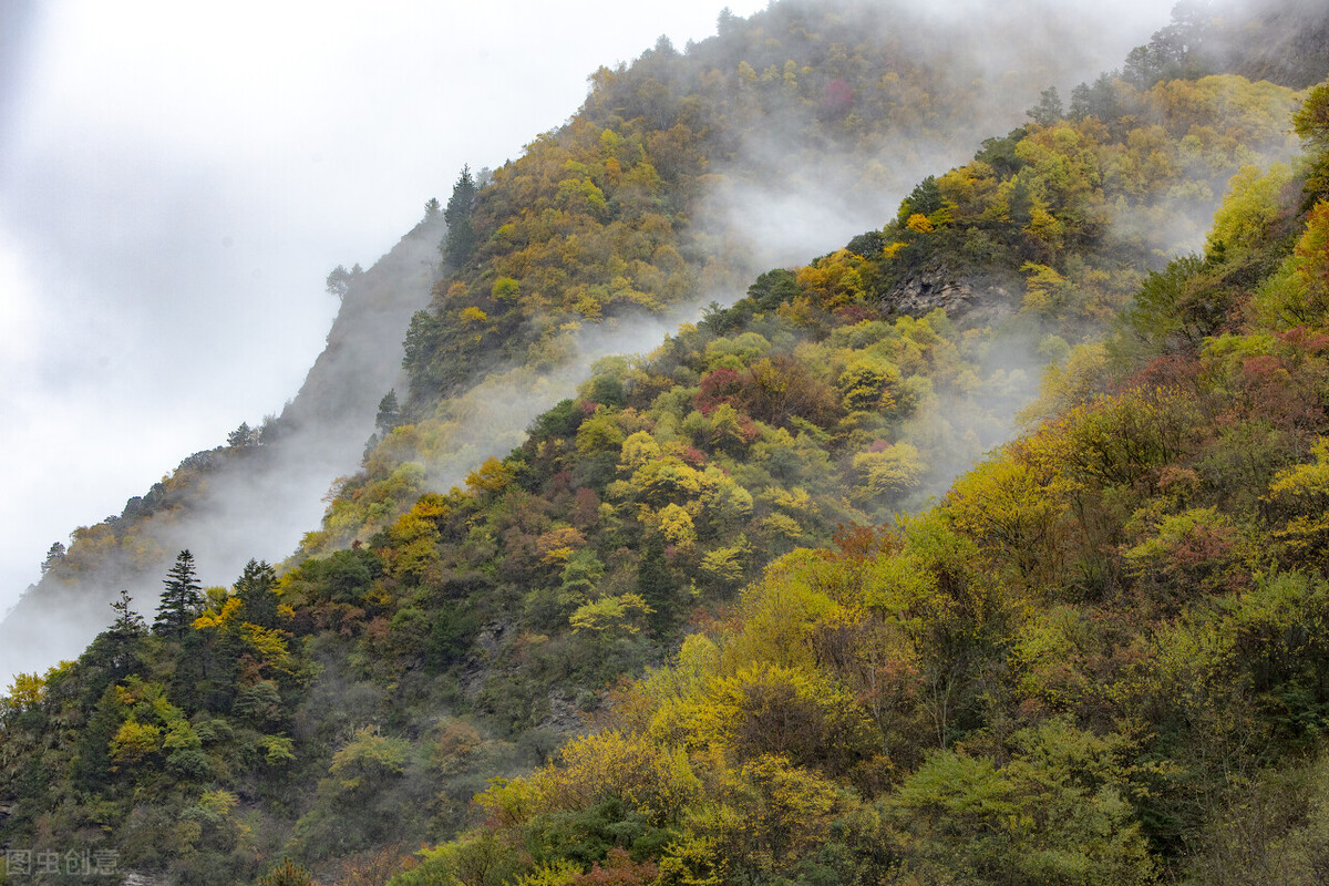 千万不要在秋天来川西，川西的秋天有多美你知道吗？插图68