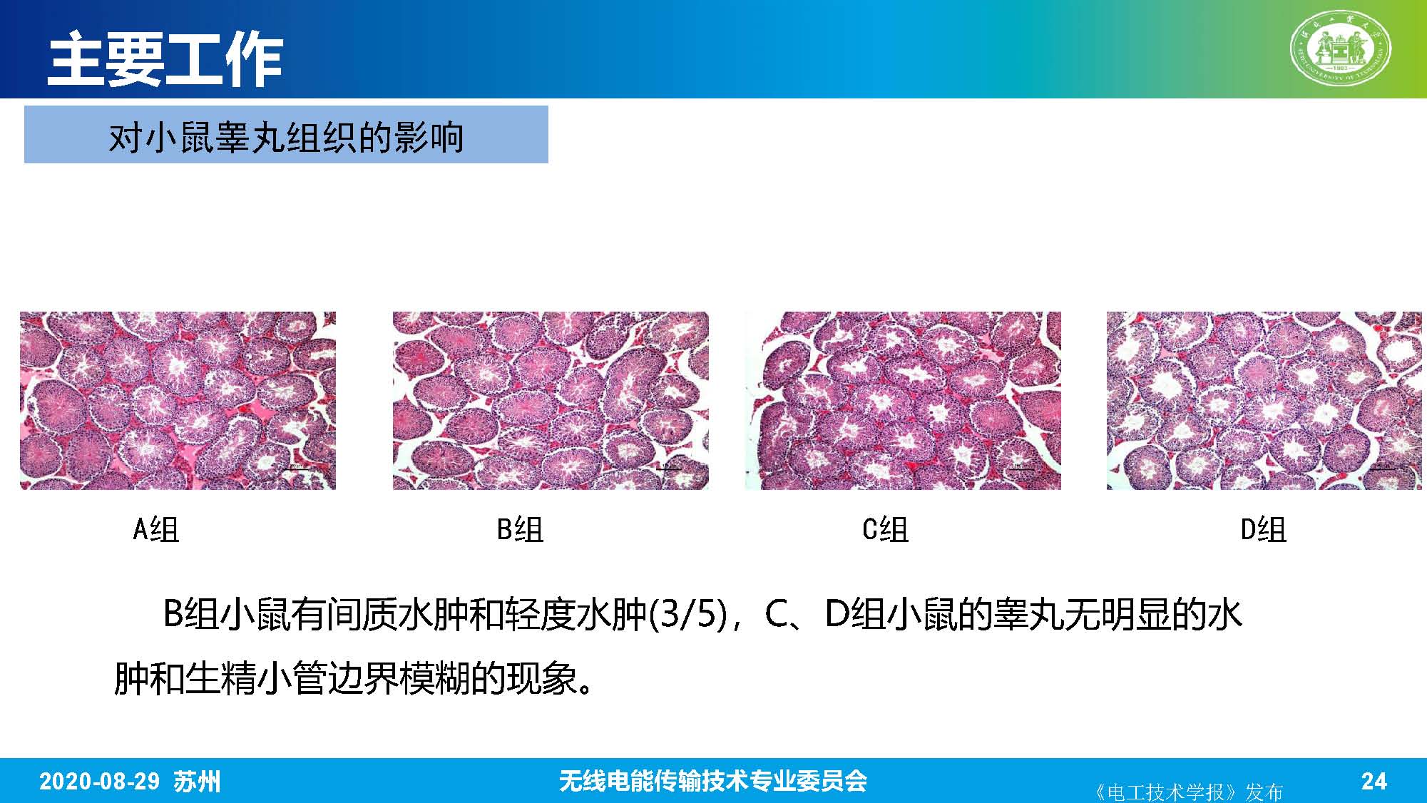 河北工業(yè)大學趙軍博士：無線電能傳輸系統(tǒng)的生物電磁綜合效應(yīng)研究