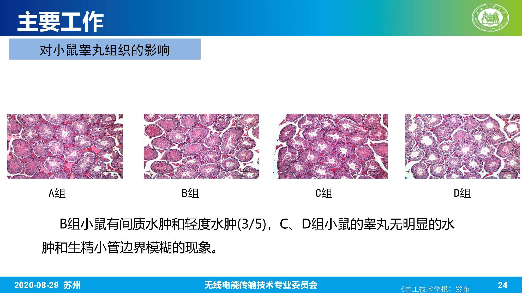 河北工业大学赵军博士：无线电能传输系统的生物电磁综合效应研究