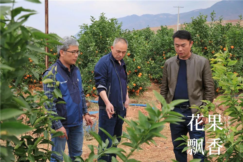 一位浙江老板的农业投资理念：如果挣不到钱，都是白搭