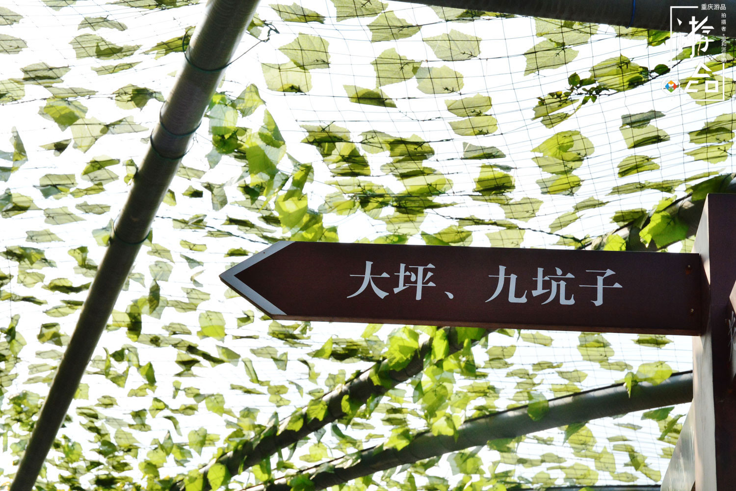 龙湖为重庆大坪带来GDP奇迹，但作为代价，抹去了后勤工程学院