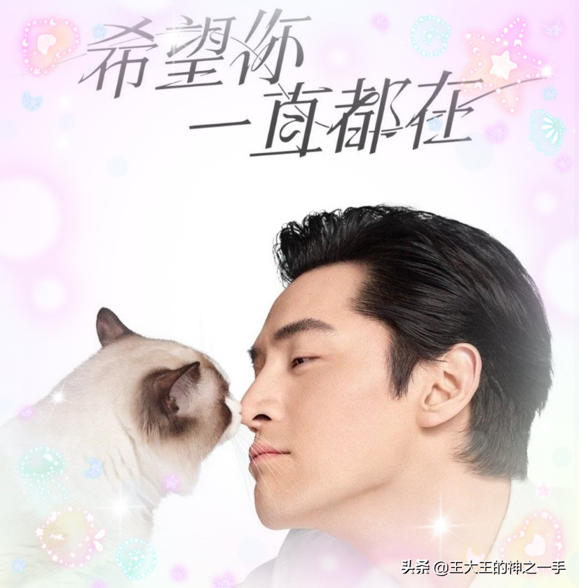 胡歌最新代言，恭喜老胡加入萌猫一族，胡喵喵全网最酷无疑啦- 资讯咖