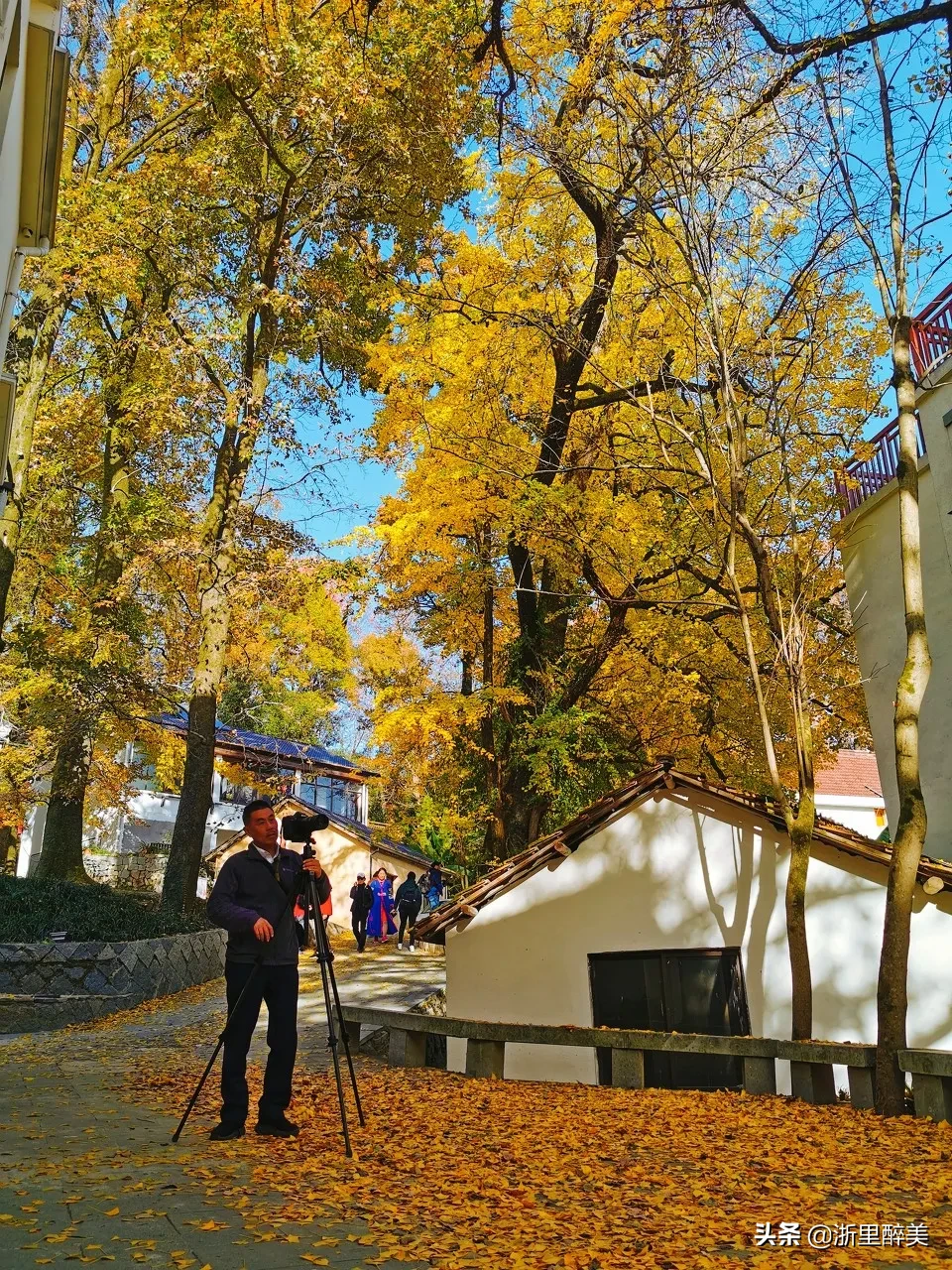 10 ancient towns with beautiful autumn colors, if you are tired, go to stay for a few days