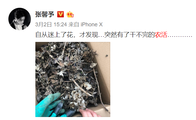 张馨予坦言收视率再高也不要再和热巴合作？给出的理由也太可爱了