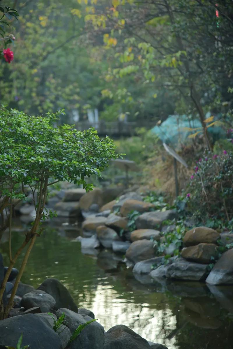 Flourishing contains seed of annual meeting ｜ " rat " not easy, "Ox " turn heaven and earth, 2021 our against the wind and row