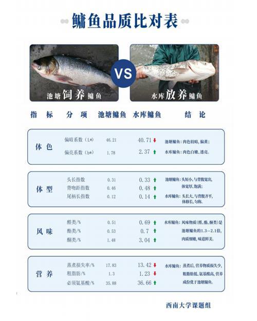 重庆水投集团首届“渝湖牌”水库鱼捕鱼节将于9月15日玉滩开幕