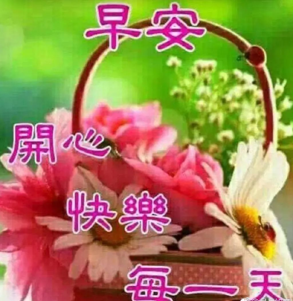 微信新版特别漂亮早上好动态图片带字 清晨问候早上好句子大全