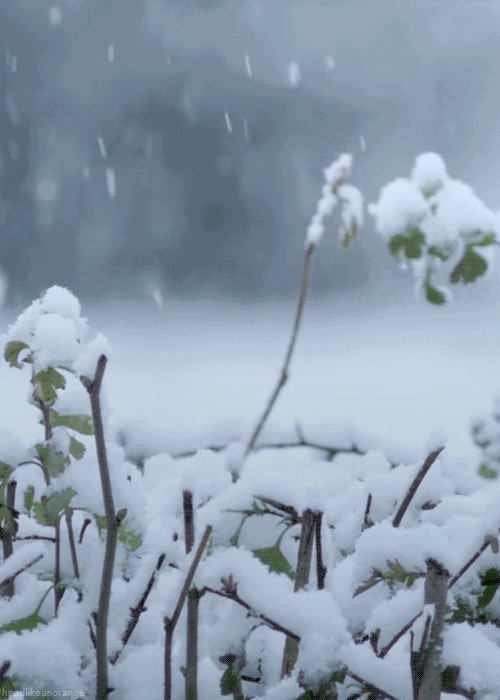 十首听雪诗词，感受古人诗意的冬天-第8张图片-诗句网