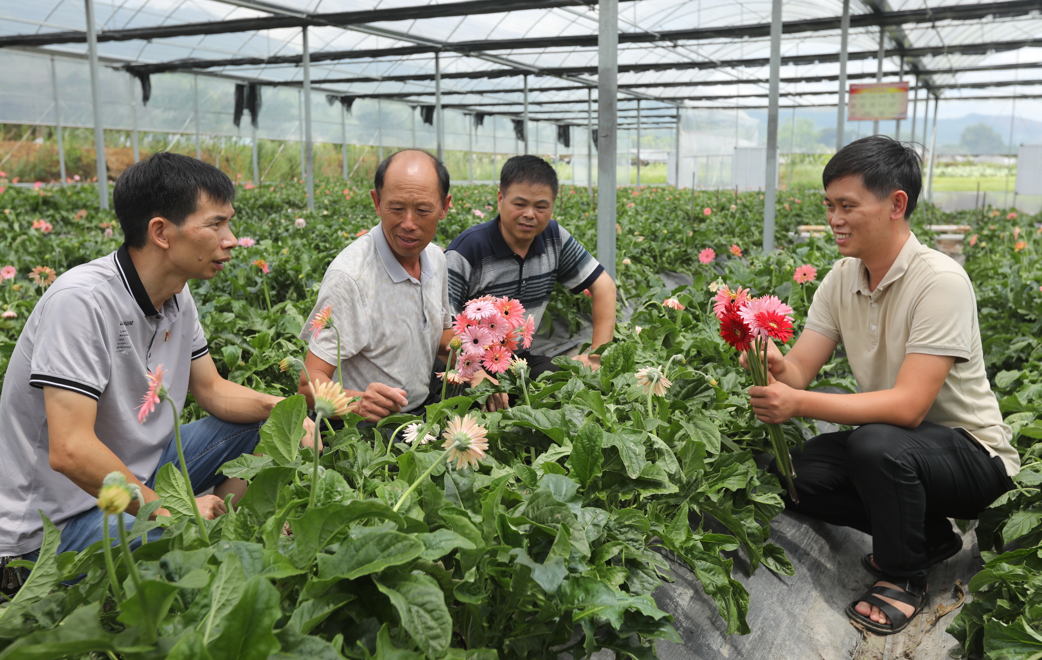 连城：吹响培养高素质农民“集结号”