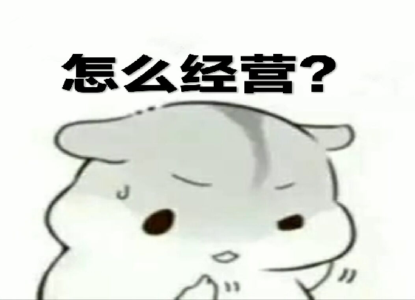 对于开动漫网店时网店运营以及货源的寻找应该怎样操作呢