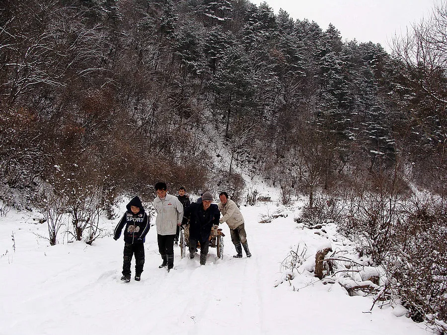 炎炎夏日，送你一组冰雪图片降降温