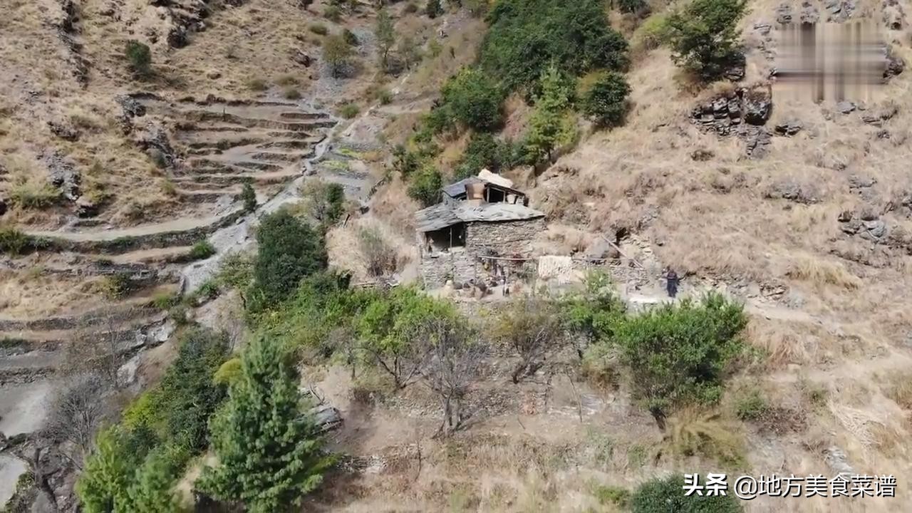 中国小伙送尼泊尔山区贫困户一头猪，解决了他们一年的肉食问题