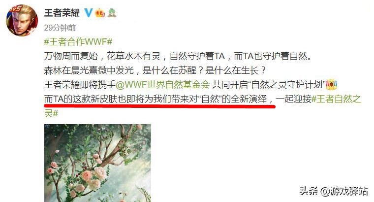 王者荣耀：瑶WWF联动自然风皮肤官宣，三款源·梦人气排名一览