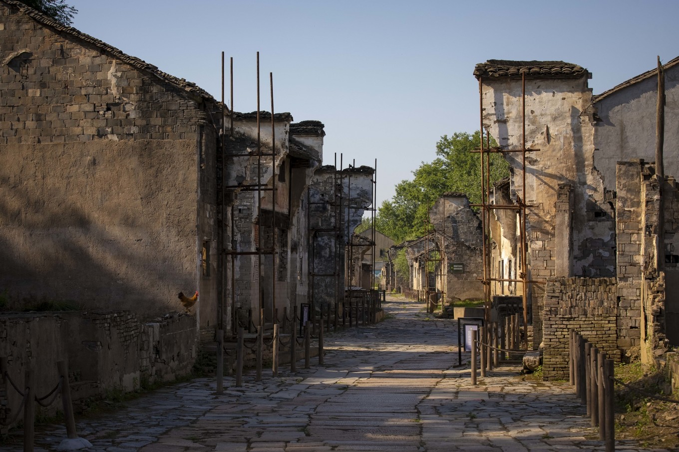 铜陵的一处江心小岛，长江江豚在这里与人类和谐共生