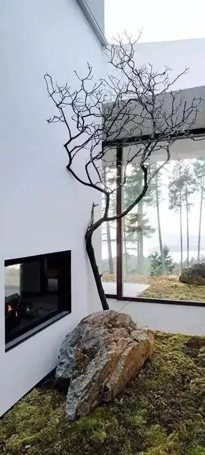 園林植物種植的五種類型