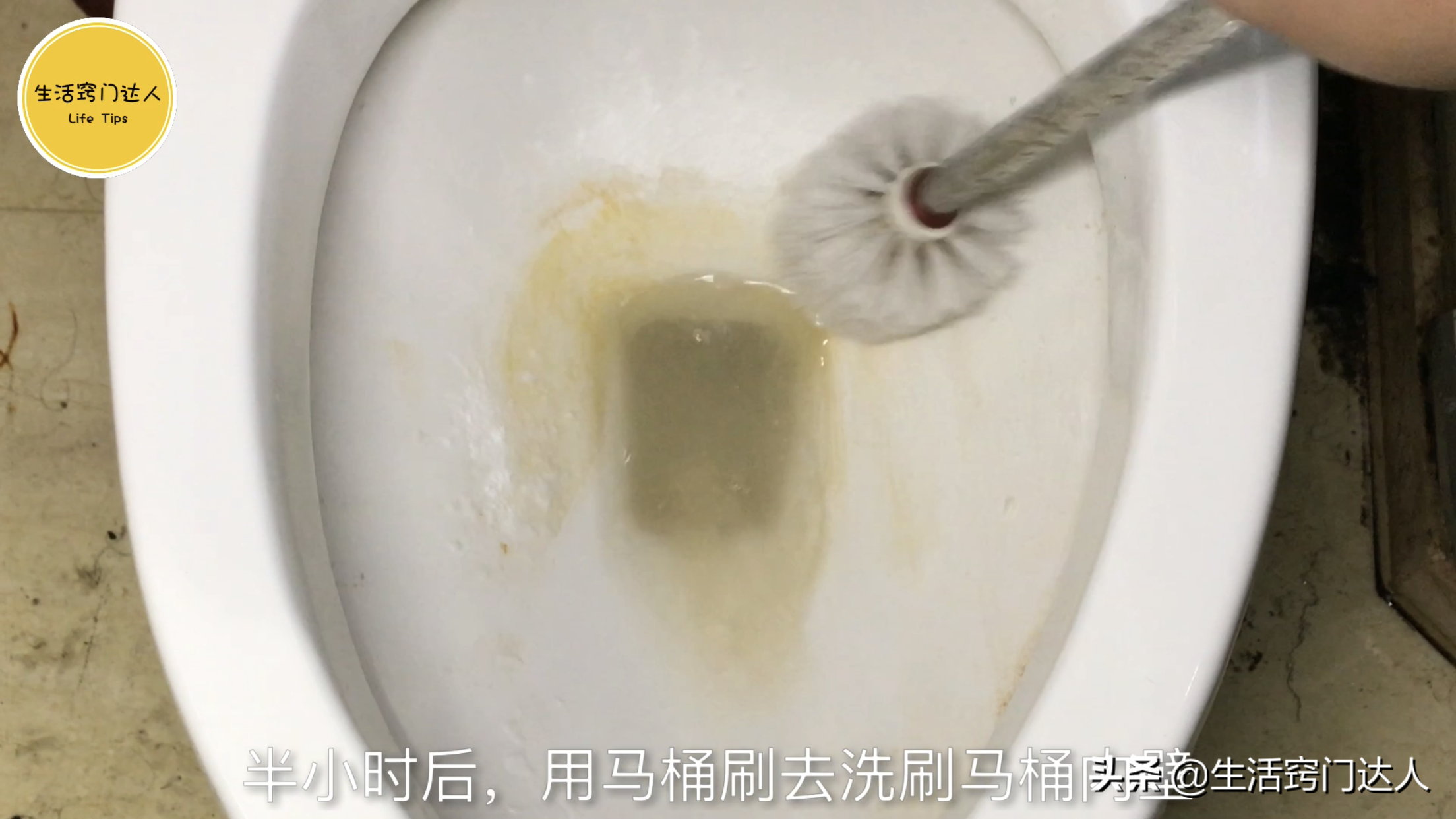 马桶里撒一把，一冲就干净-第8张图片-农百科