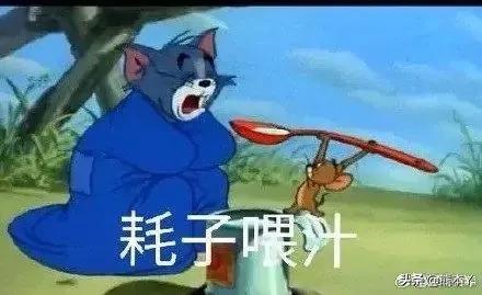 耗子喂汁耗子尾汁是什么梗