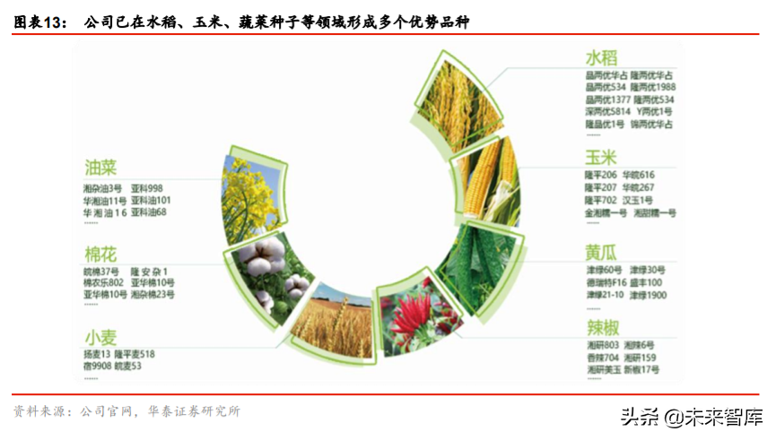 隆平高科投资机会分析：行业集中，种企航母披荆斩棘