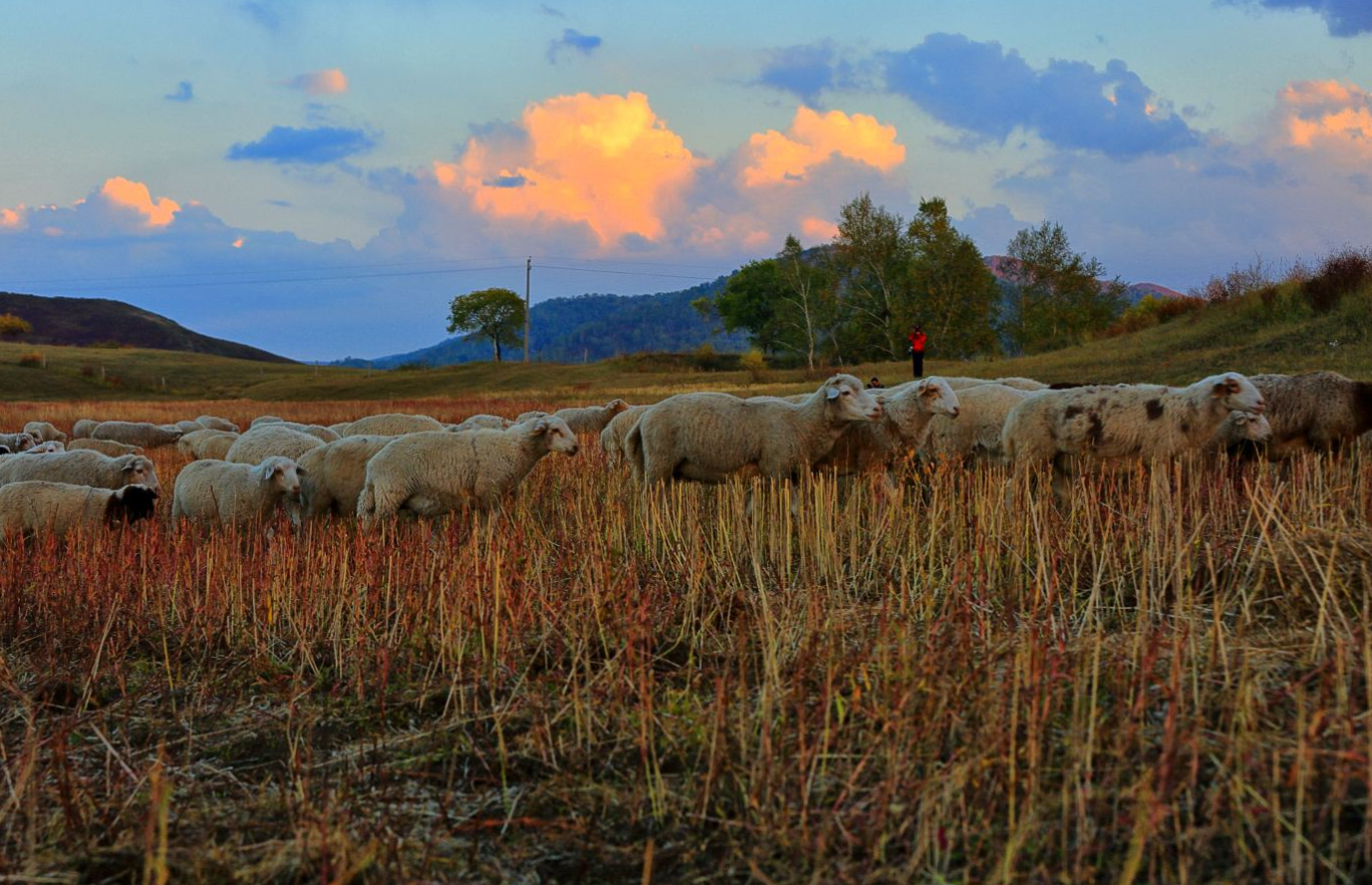 张之江：军阀混战时的奇谋将军，给敌人送烤全