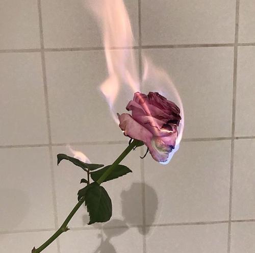 萌萌哒可爱调皮的句子 很皮的搞笑撩人句子图片