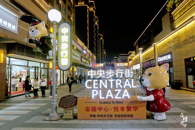 保定安国有一条中央步行街，中医药文化随处可见，夜色下充满魅力
