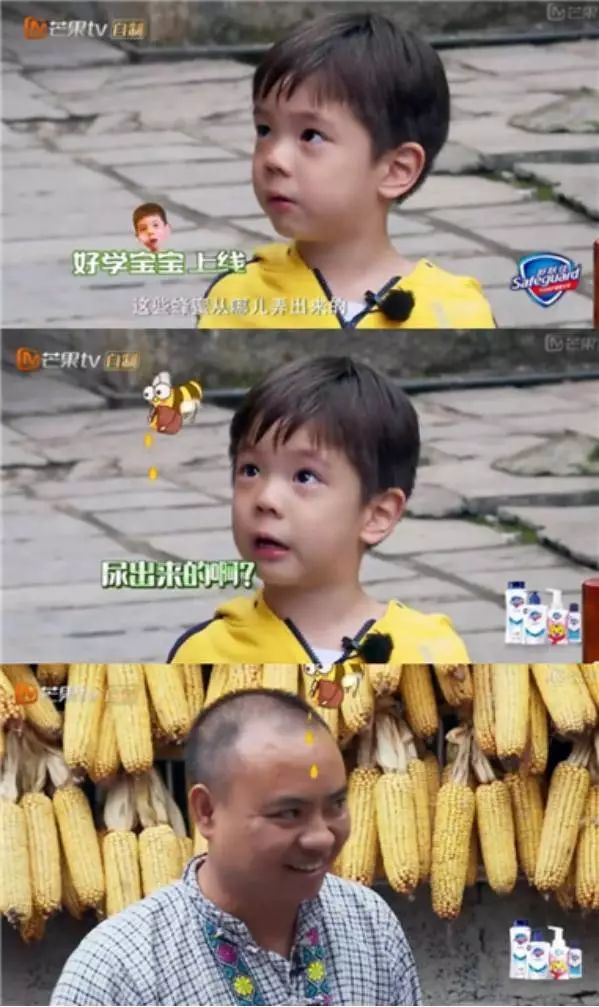 6岁嗯哼近照大变样，杜江乐了：最好的教育，是儿子越来越像老子